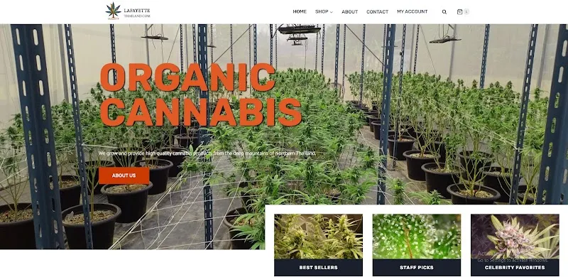 Lafayette Organic Weed & Cannabis Farm