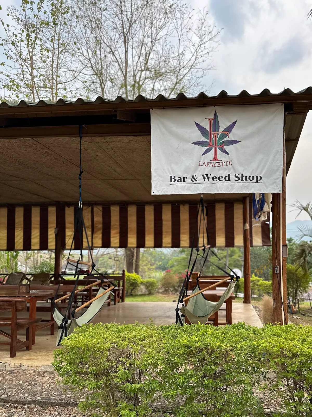 Lafayette Organic Weed & Cannabis Farm