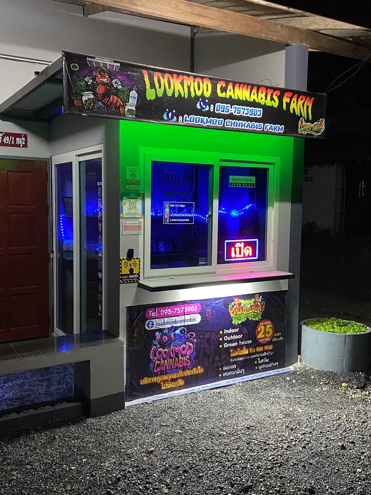 Lookmod cannabis farm Chaiya