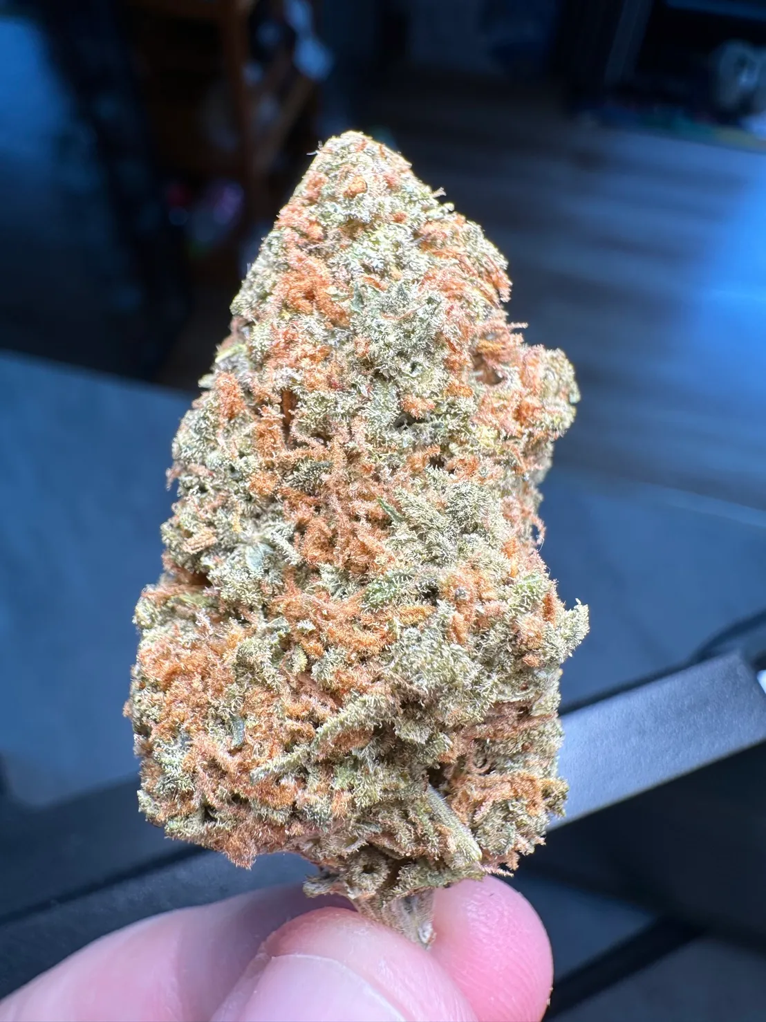สวนกัญชาเกรดพรีเมียม (LuckyTree Farm & Dispensary)