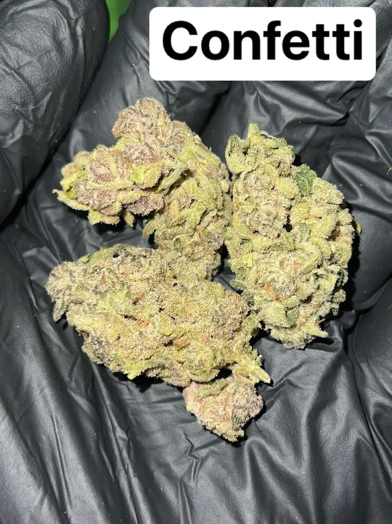 MR.T Cactus&Cannabis farm