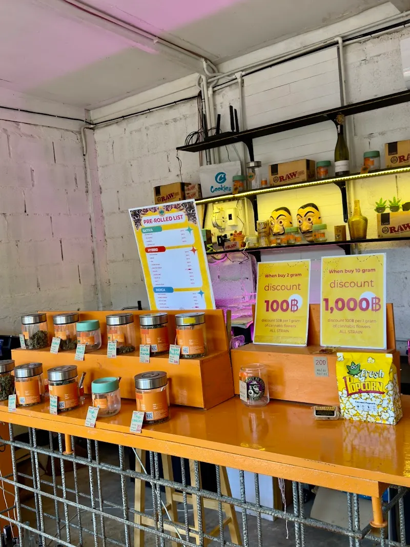 Natural Artist Farm Dispensary Sairee กัญชา​ 大麻店 カナビス 대마초 конопля قنب حشيش Marijuana Weed Ganja