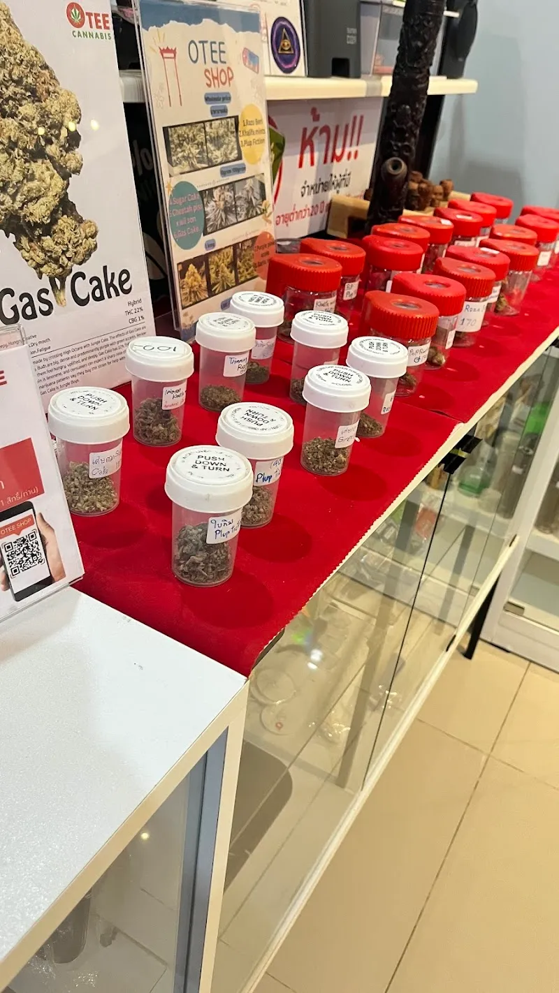 ร้านขายกัญชาราคาส่ง OTEE shop cannabis Farm ganja dispensary &Craftbeer thai