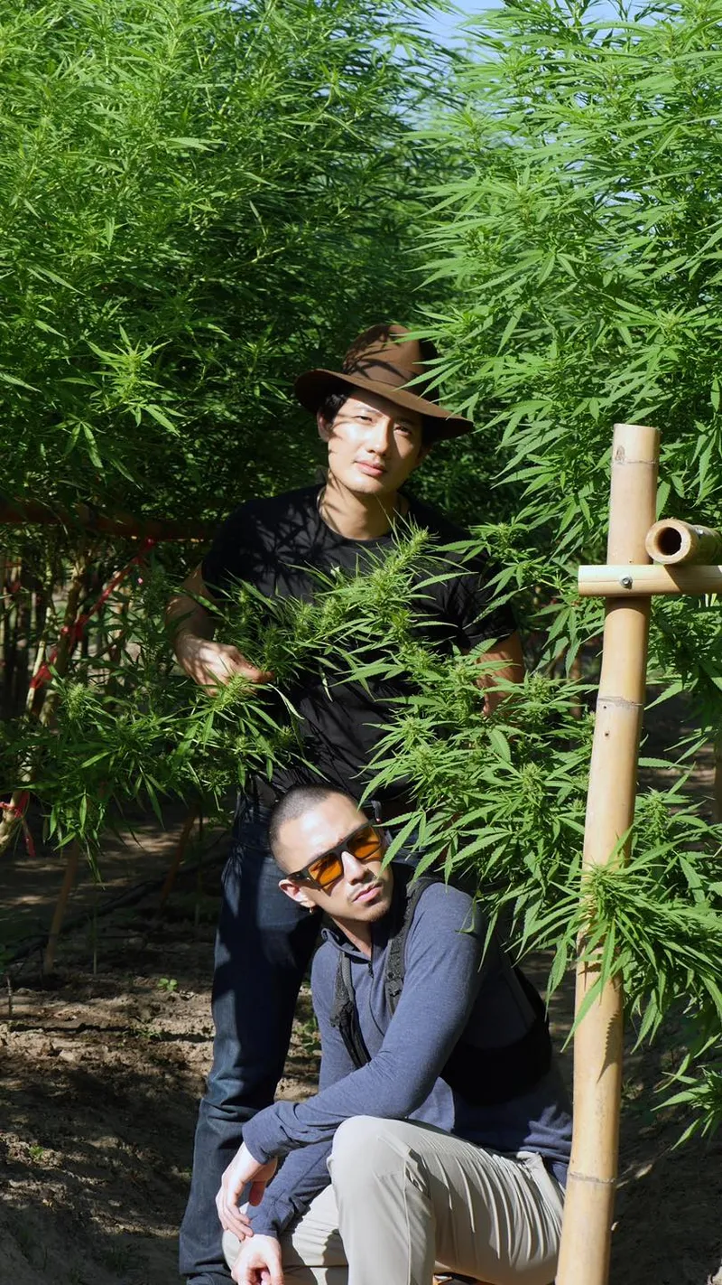 ฟาร์มเกษตรอินทรีย์เพชรล้านนา Phet Lanna Organic Farm