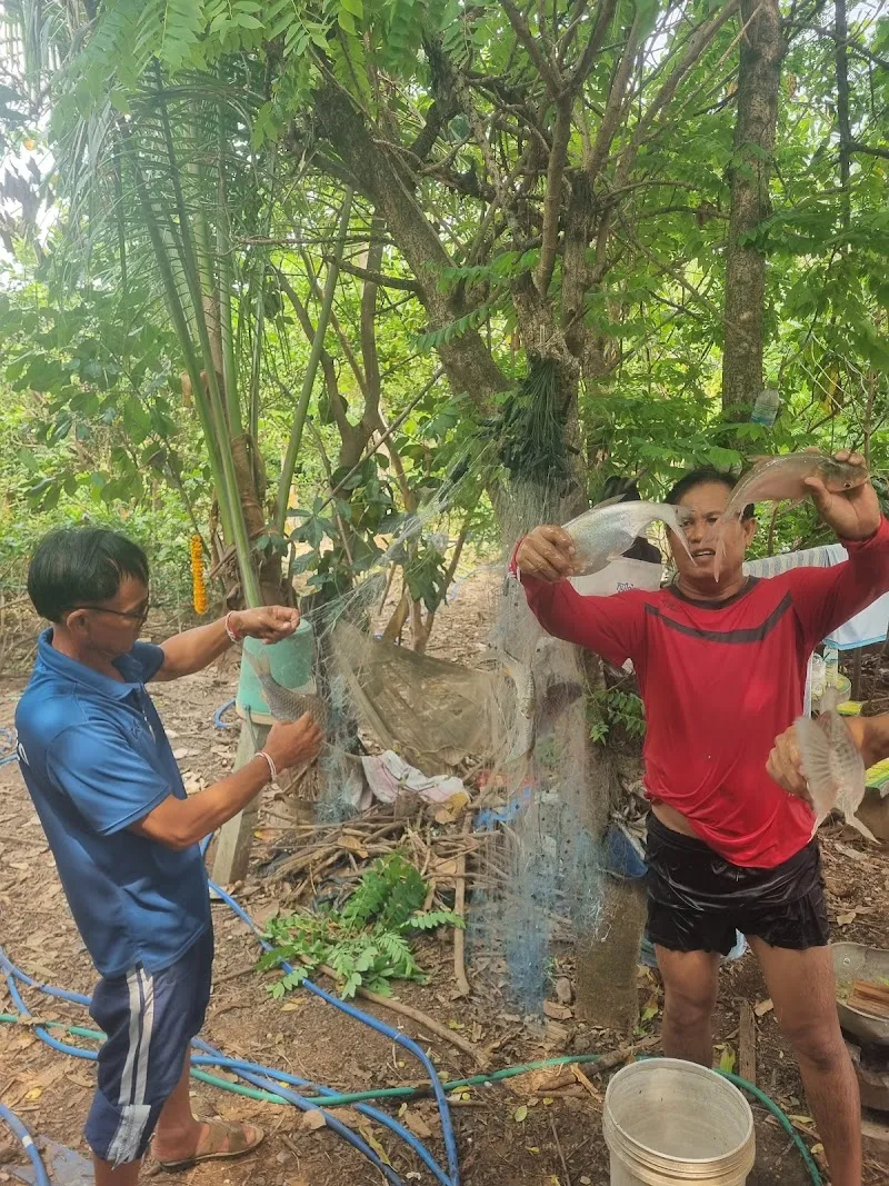 วังกัญชา ตราดตรวน