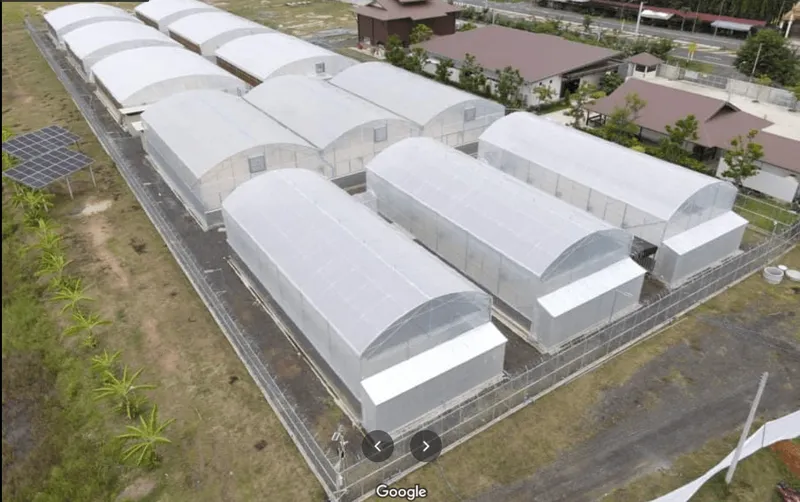 Progressive Herb Agriculture Community Enterpris วิสาหกิจชุมชนเกษตรสมุนไพรก้าวหน้า