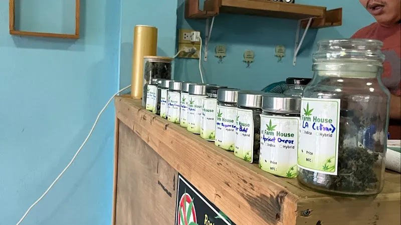 Siamese Cloud Dispensary. by Root Farm House.