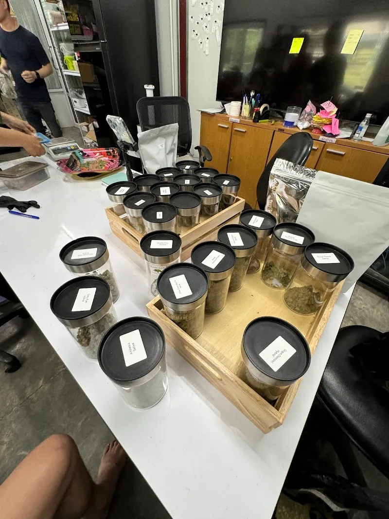 Slow Life Cannabis and Herb Farm