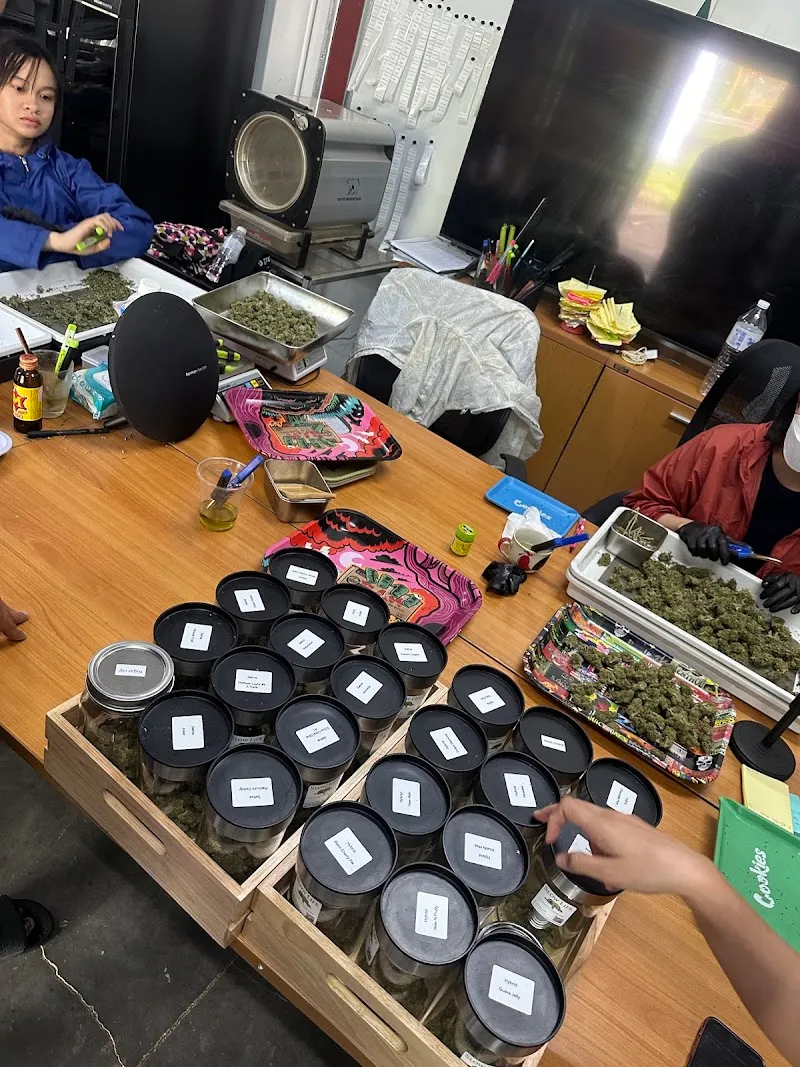 Slow Life Cannabis and Herb Farm