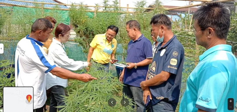 Thai Non Malai Herbal Community Enterprise วิสาหกิจชุมชนสมุนไพรไทยโนนมาลัย