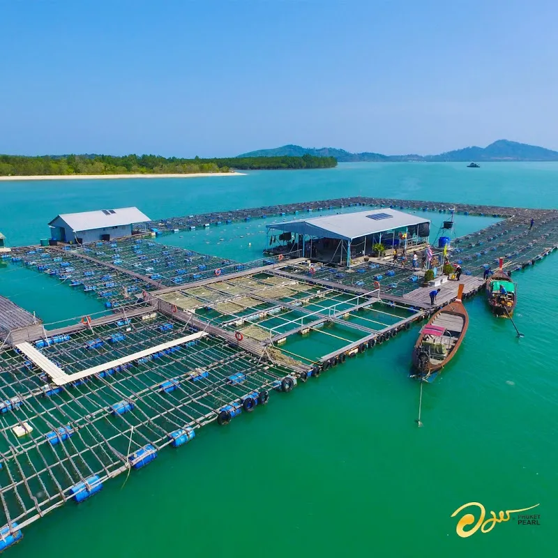 ThaiPearl Farm