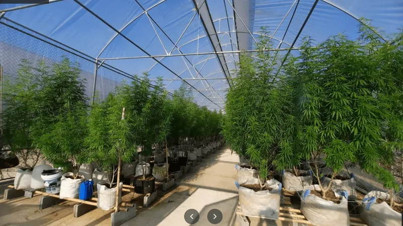 Thanat Herb Farm ธนัทเฮิร์บฟาร์ม