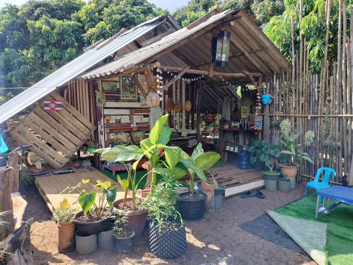 บ้านไร่กัญชา THC