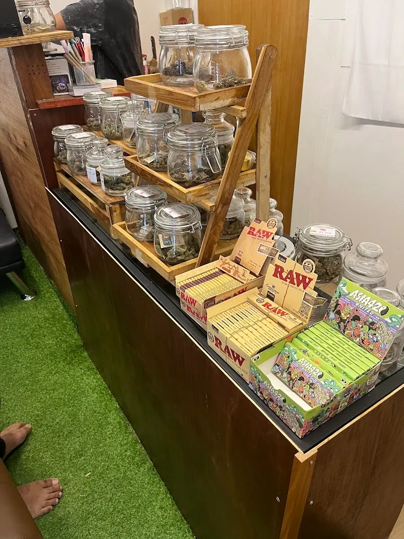 Weed Hatyai Hop Bis Cannabis Shop