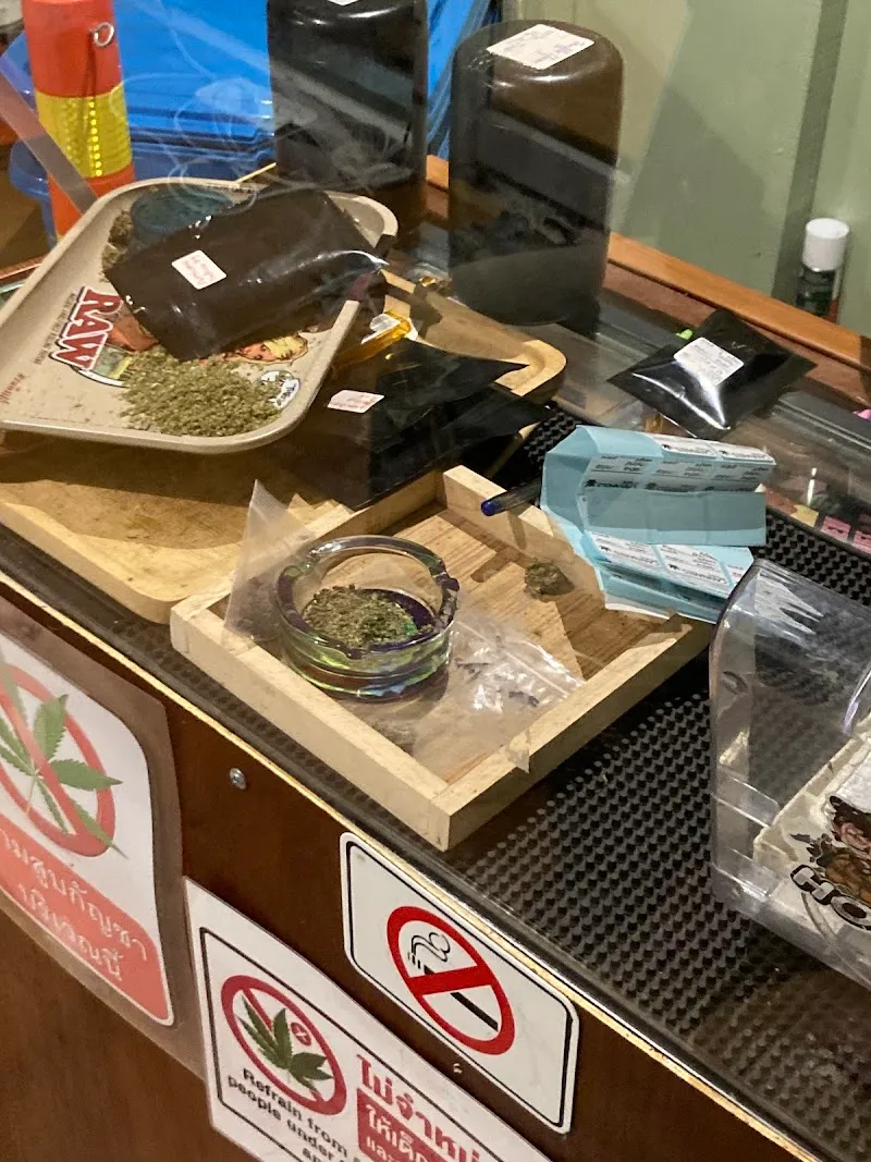 Weed Hatyai Hop Bis Cannabis Shop