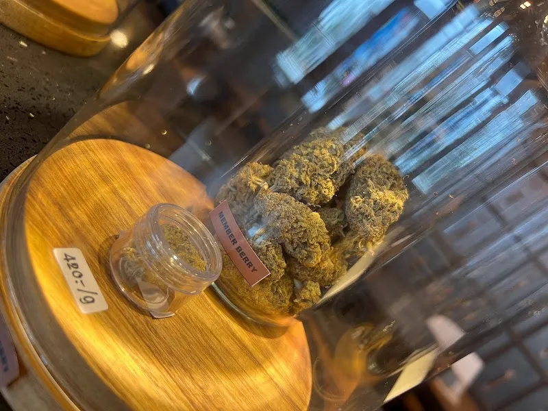 ZANDIGA Farm & Dispensary (ซานดิก้า)