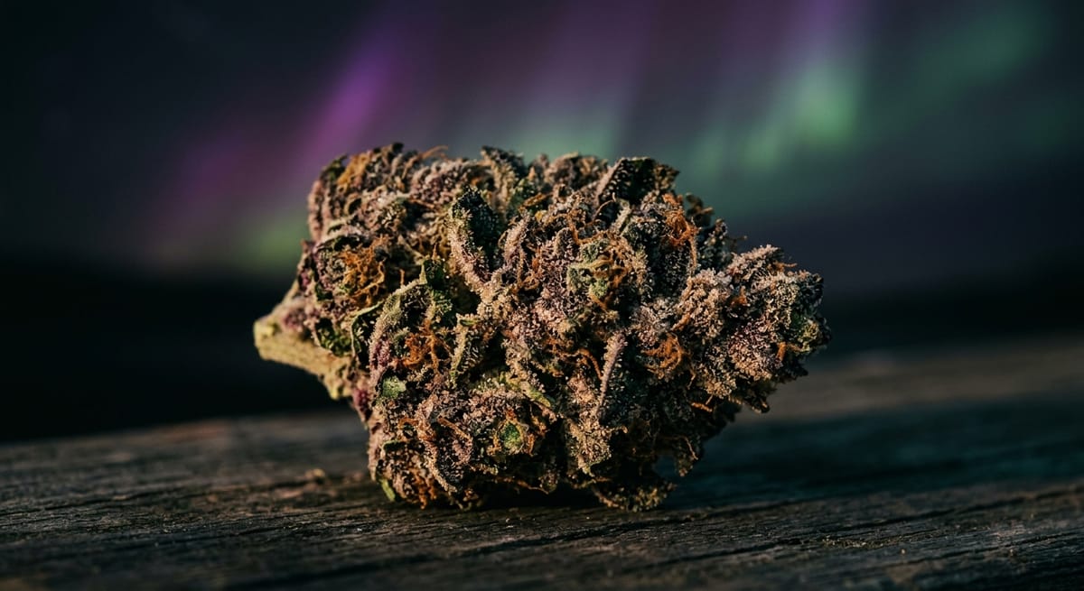 Northern Lights
